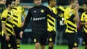 Roman Weidenfeller (Borussia Dortmund)