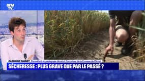 Sécheresse : plus grave que par le passé ? - 24/07 