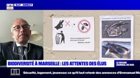 Marseille: selon le maire des 9 et 10e arrondissements, le parc des calanques "est fragile"
