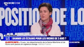 Utilisation des écrans chez les enfants : "J'ai vu un enfant de deux ans qui ne parlait pas", confie Anne Sénéquier, pédopsychiatre