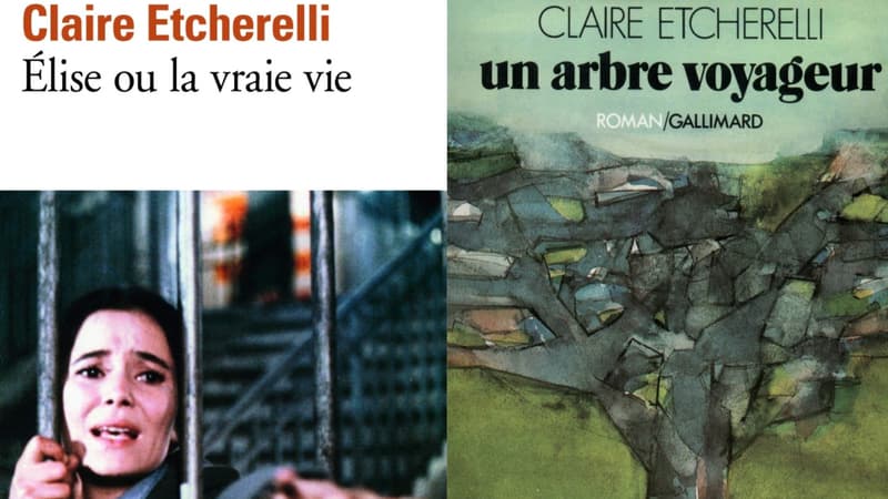 Couvertures de deux livres signés Claire Etcherelli
