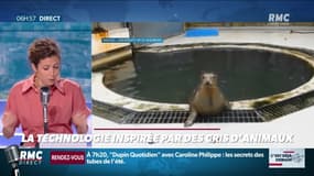 La chronique de Nina Godart : La technologie inspirée par des cris d'animaux - 07/08