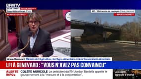 Colère agricole: "La vaccination s'est concentrée sur les secteurs qui étaient infectés par la maladie", répond Annie Genevard au groupe LFI