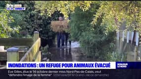 Pas-de-Calais: les animaux du parc pédagogique Nature du Marais évacués