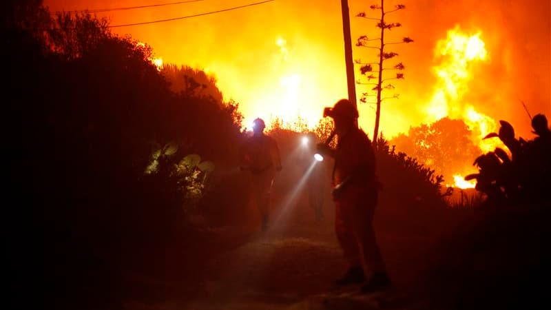 Des milliers de personnes ont été évacuées en raison d'un important incendie menaçant les abords de la station touristique de Marbella, sur la Costa del Sol dans le sud de l'Espagne. /Photo prise le 31 août 2012/REUTERS/Jon Nazca