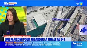 Coupe d'Afrique des Nations. Une Fan Zone pour regarder la finale au J4 !