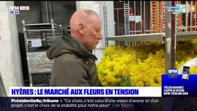 Hyères: les marchands de fleurs en difficulté avec la perte des acheteurs russes