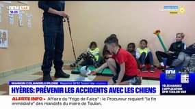 Hyères: un atelier pour prévenir les accidents avec les chiens