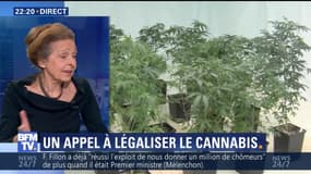 Faut-il légaliser le cannabis pour sauver Marseille ?