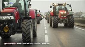 "Agriculteurs : au cœur de la colère" : revoir l'enquête de BFMTV