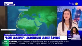 "Sous la Seine": une bande-annonce pour le film de requin français de Netflix