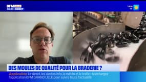 Lille: des moules de qualité pour la Braderie? 