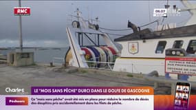 Le "mois sans pêche" durci dans le Golfe de Gascogne