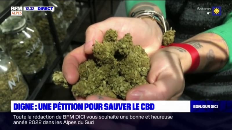 Digne-les-Bains: une pétition contre l'interdiction de la vente de fleurs de CBD