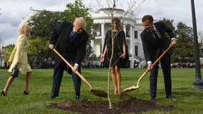 Donald Trump et Emmanuel Macron plantent un chêne français dans les jardins de la Maison Blanche, le 23 avril 2018.