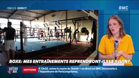 « Allô Marie ? » : Les entraînements de boxe reprendront-ils le 9 juin ? - 06/05