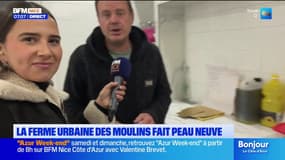Nice: la ferme urbaine fait peau neuve aux Moulins