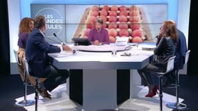 Yannick Jadot: "Depuis le début de la crise des oeufs, c'est silence, opacité, mensonge, collusion"