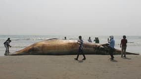 Le cadavre d'une baleine retrouvée sur une plage de Cox's Bazar, au Bangladesh, le 9 avril 2021