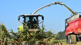 les députés ont voté en commission, dans la nuit de mercredi à jeudi, une série de mesures supplémentaires en faveur des agriculteurs, dans le cadre de l'examen du projet de budget pour 2019.
