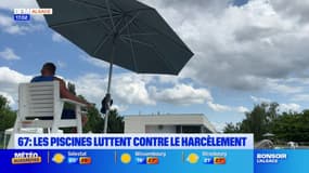 Strasbourg: lutter contre les violences sexistes et sexuelles dans les piscines