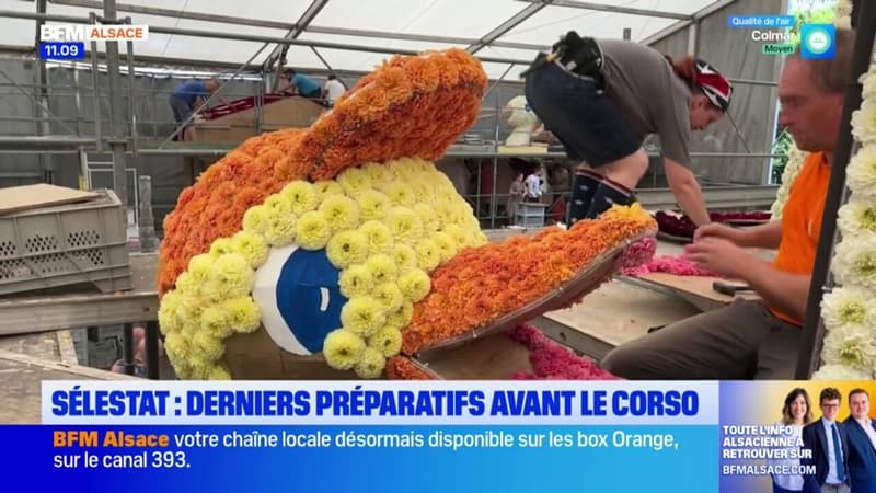 Sélestat: derniers préparatifs avant le Corso fleuri