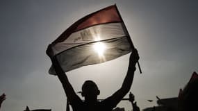 Un homme brandit un drapeau égyptien pour fêter la destitution de Mohamed Morsi.