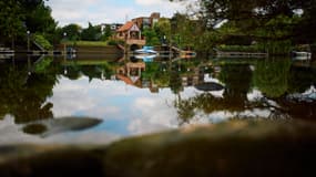 Des bateaux sont amarrés sur la Tamise à Richmond, à l'ouest de Londres, le 24 juin 2024.