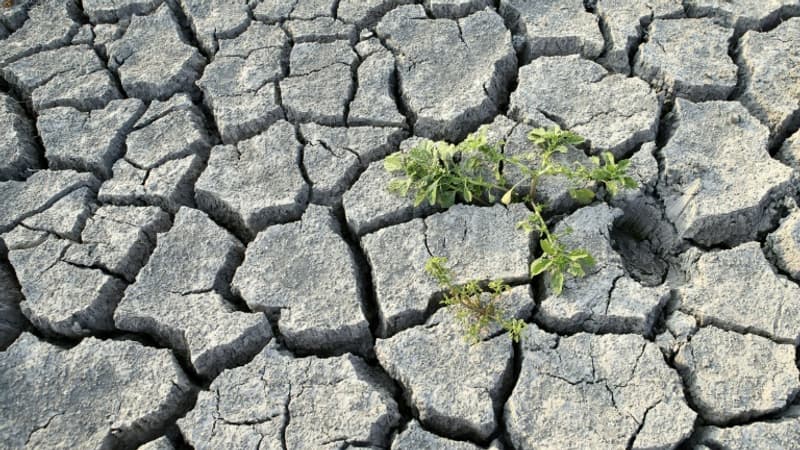 Nice, Antibes... L’état de catastrophe naturelle reconnu dans 18 communes des Alpes-Maritimes après la sécheresse de 2023