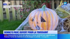 Dennebrœucq: Dennlys Parc ouvert pour la Toussaint