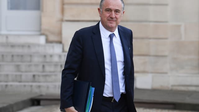 Didier Guillaume