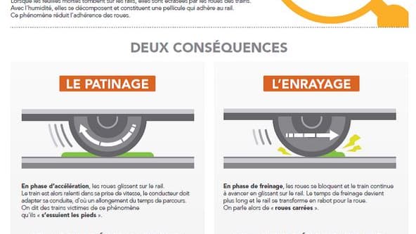 Pourquoi les feuilles mortes posent-elles problème? Pourquoi les feuilles mortes posent-elles problème?