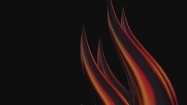 Le logo des Flammes