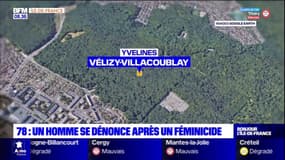 Yvelines: un homme se dénonce après un féminicide