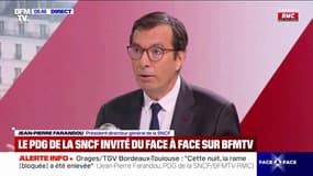 Ouverture à la concurrence: "Il faut que les nouveaux arrivants partagent ces missions d'aménagement du territoire", affirme le PDG de la SNCF 