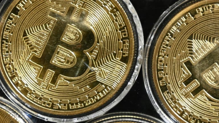 Un ingénieur informatique a proposé à une autorité locale au Royaume-Uni une juteuse récompense pour retrouver un disque dur, jeté accidentellement, contenant un pactole de plus de 200 millions de livres (225 millions d'euros) en bitcoins