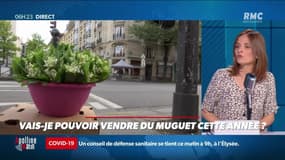 « Allô Marie ? » : Vais-je pouvoir vendre du muguet cette année ? - 28/04