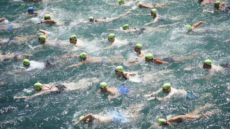 Des nageurs qui participent à la traversée du lac de Zurich, en Suisse, le 5 juillet 2017. Photo d'illustration