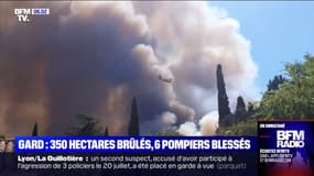 Incendie dans le Gard: le feu est fixé, 350 hectares ont été brûlés 