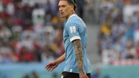 Darwin Nunez (Uruguay).