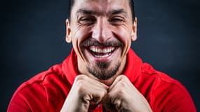 Zlatan Ibrahimovic (Milan AC)