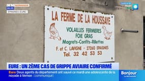 Grippe aviaire: un deuxième cas confirmé dans une exploitation de volailles dans l'Eure
