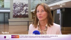 Sénatoriales des Français de l'étranger : Ségolène Royal essuie un vers majeur