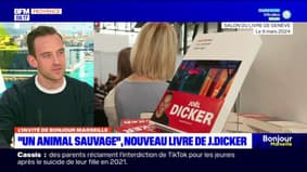 La Suisse, le luxe, les faux-semblants... Les ingrédients du nouveau roman de Joël Dicker, "Un animal sauvage"