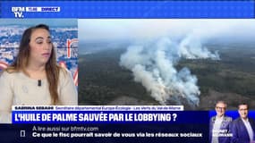 L'huile de palme sauvée par le lobbying ? - 15/11