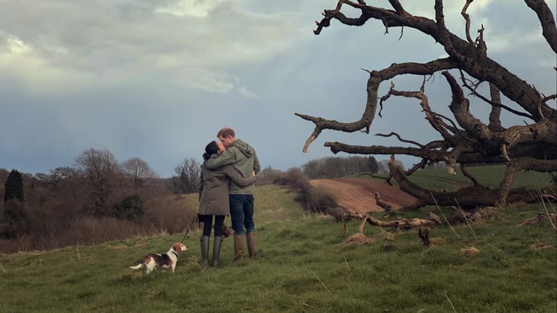 "C'était terrifiant de voir mon frère me crier dessus": dans "Harry & Meghan", les coulisses du "Megxit"