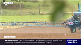 Ces agriculteurs et restaurateurs qui s'opposent à la loi Duplo