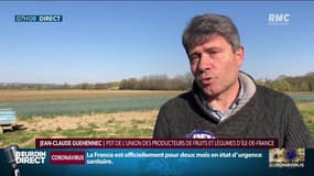 Pénurie de main-d'oeuvre dans le secteur agricole: "des conséquences maintenant mais aussi demain"