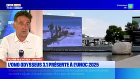 Planète Locale du mercredi 25 juin - L'ONG Odysseus 3.1 présente à l'UNOC 2025