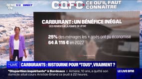 Une nouvelle ristourne sur le carburant, comme le propose Xavier Bertrand, serait-elle efficace?